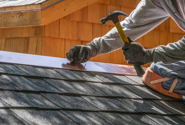 Professional Roofing services in Rainbow Park, FL