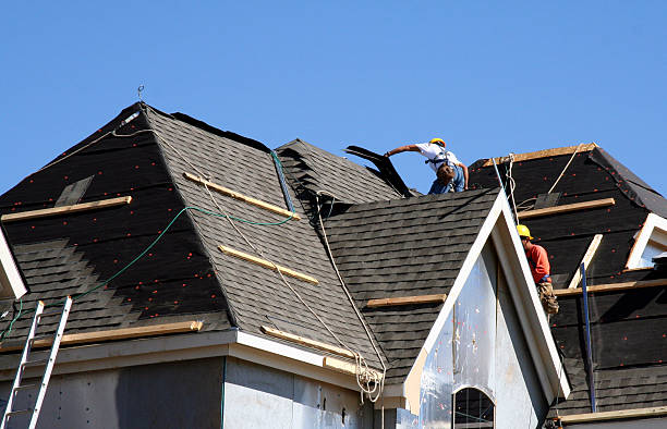 Best Asphalt Shingles Roofing  in Rainbow Park, FL